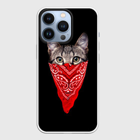 Чехол для iPhone 13 Pro с принтом Gangsta Cat в Екатеринбурге,  |  | cat | cats | gangsta | kitten | kitty | pussy | гангстер | кот | котенок | котик | котики | коты | котята | кошка | кошки | платок