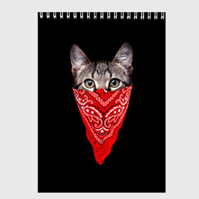Скетчбук с принтом Gangsta Cat в Екатеринбурге, 100% бумага
 | 48 листов, плотность листов — 100 г/м2, плотность картонной обложки — 250 г/м2. Листы скреплены сверху удобной пружинной спиралью | cat | cats | gangsta | kitten | kitty | pussy | гангстер | кот | котенок | котик | котики | коты | котята | кошка | кошки | платок