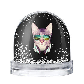 Водяной шар с принтом Кот в Наушниках в Екатеринбурге, Пластик | Изображение внутри шара печатается на глянцевой фотобумаге с двух сторон | cat | cats | kitten | kitty | pussy | диджей | кот | котенок | котик | котики | коты | котята | кошка | кошки | наушники | очки
