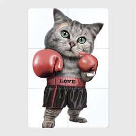 Магнитный плакат 2Х3 с принтом Кот боксёр в Екатеринбурге, Полимерный материал с магнитным слоем | 6 деталей размером 9*9 см | Тематика изображения на принте: боец | бокс | боксёр | кот | котёнок | кошак | кошка | кулак | спорт | шорты