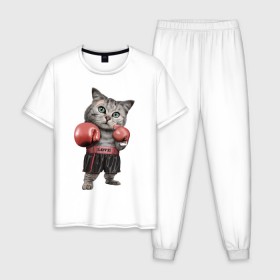 Мужская пижама хлопок с принтом Кот боксёр в Екатеринбурге, 100% хлопок | брюки и футболка прямого кроя, без карманов, на брюках мягкая резинка на поясе и по низу штанин
 | боец | бокс | боксёр | кот | котёнок | кошак | кошка | кулак | спорт | шорты