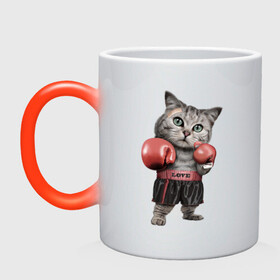 Кружка хамелеон с принтом Кот боксёр в Екатеринбурге, керамика | меняет цвет при нагревании, емкость 330 мл | боец | бокс | боксёр | кот | котёнок | кошак | кошка | кулак | спорт | шорты