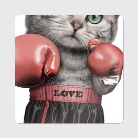 Магнит виниловый Квадрат с принтом Кот боксёр в Екатеринбурге, полимерный материал с магнитным слоем | размер 9*9 см, закругленные углы | боец | бокс | боксёр | кот | котёнок | кошак | кошка | кулак | спорт | шорты
