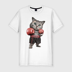 Мужская футболка премиум с принтом Кот боксёр в Екатеринбурге, 92% хлопок, 8% лайкра | приталенный силуэт, круглый вырез ворота, длина до линии бедра, короткий рукав | боец | бокс | боксёр | кот | котёнок | кошак | кошка | кулак | спорт | шорты
