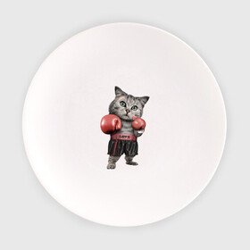 Тарелка с принтом Кот боксёр в Екатеринбурге, фарфор | диаметр - 210 мм
диаметр для нанесения принта - 120 мм | Тематика изображения на принте: боец | бокс | боксёр | кот | котёнок | кошак | кошка | кулак | спорт | шорты