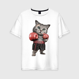 Женская футболка хлопок Oversize с принтом Кот боксёр в Екатеринбурге, 100% хлопок | свободный крой, круглый ворот, спущенный рукав, длина до линии бедер
 | боец | бокс | боксёр | кот | котёнок | кошак | кошка | кулак | спорт | шорты