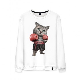 Мужской свитшот хлопок с принтом Кот боксёр в Екатеринбурге, 100% хлопок |  | боец | бокс | боксёр | кот | котёнок | кошак | кошка | кулак | спорт | шорты