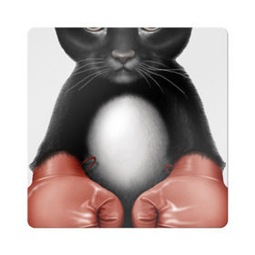 Магнит виниловый Квадрат с принтом Котёнок боксёр в Екатеринбурге, полимерный материал с магнитным слоем | размер 9*9 см, закругленные углы | боец | бокс | боксёр | кот | котёнок | кошак | кошка | кулак | спорт | шорты