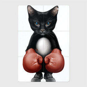 Магнитный плакат 2Х3 с принтом Котёнок боксёр в Екатеринбурге, Полимерный материал с магнитным слоем | 6 деталей размером 9*9 см | Тематика изображения на принте: боец | бокс | боксёр | кот | котёнок | кошак | кошка | кулак | спорт | шорты