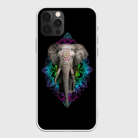 Чехол для iPhone 12 Pro Max с принтом Индийский Слон в Екатеринбурге, Силикон |  | Тематика изображения на принте: africa | elephant | elephants | india | ornament | pattern | skin | tusks | африка | бивни | индия | кожа | орнамент | слон | слоненок | слоник | слоники | слоны | слонята | узор | хобот