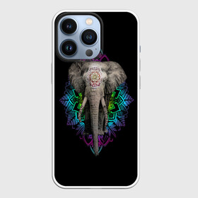 Чехол для iPhone 13 Pro с принтом Индийский Слон в Екатеринбурге,  |  | africa | elephant | elephants | india | ornament | pattern | skin | tusks | африка | бивни | индия | кожа | орнамент | слон | слоненок | слоник | слоники | слоны | слонята | узор | хобот