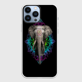 Чехол для iPhone 13 Pro Max с принтом Индийский Слон в Екатеринбурге,  |  | africa | elephant | elephants | india | ornament | pattern | skin | tusks | африка | бивни | индия | кожа | орнамент | слон | слоненок | слоник | слоники | слоны | слонята | узор | хобот