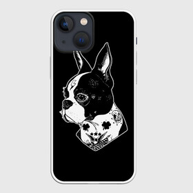 Чехол для iPhone 13 mini с принтом Французский Бульдог в Екатеринбурге,  |  | bulldog | dog | dogs | franch | бульдог | пес | псы | собака | собакен | собаки | собачка | собачки | французский | щенки | щенок | щеночек | щеночки