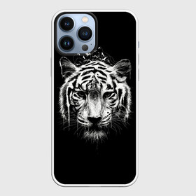 Чехол для iPhone 13 Pro Max с принтом Dark Tiger в Екатеринбурге,  |  | africa | creepy | dark | desert | predator | scary | tiger | tigers | африка | жуткий | мрачный | пустыня | страшный | тигр | тигренок | тигрица | тигрицы | тигры | тигрята | хищник