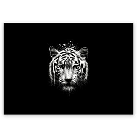 Поздравительная открытка с принтом Dark Tiger в Екатеринбурге, 100% бумага | плотность бумаги 280 г/м2, матовая, на обратной стороне линовка и место для марки
 | africa | creepy | dark | desert | predator | scary | tiger | tigers | африка | жуткий | мрачный | пустыня | страшный | тигр | тигренок | тигрица | тигрицы | тигры | тигрята | хищник