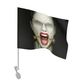 Флаг для автомобиля с принтом American Horror Story в Екатеринбурге, 100% полиэстер | Размер: 30*21 см | ahs | american horror story | hotel | американская история ужасов | губы | ключ | лицо