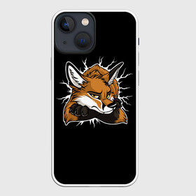 Чехол для iPhone 13 mini с принтом Лис Уверен в Себе в Екатеринбурге,  |  | cute | fox | foxes | ginger | tail | забавная | лис | лиса | лисица | лисицы | лисичка | лисички | лисы | милая | рыжая | рыжие | смешная | фыр | хвост | хвосты