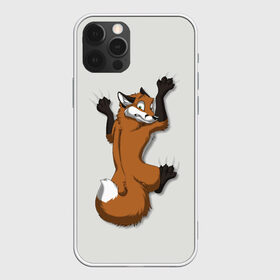 Чехол для iPhone 12 Pro Max с принтом Лис Вцепился в Екатеринбурге, Силикон |  | cute | fox | foxes | ginger | tail | вцепился | забавная | капаркается | лис | лиса | лисица | лисицы | лисичка | лисички | лисы | милая | рыжая | рыжие | смешная | фыр | хвост | хвосты