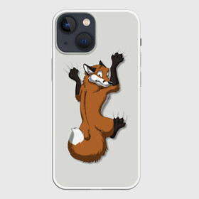 Чехол для iPhone 13 mini с принтом Лис Вцепился в Екатеринбурге,  |  | Тематика изображения на принте: cute | fox | foxes | ginger | tail | вцепился | забавная | капаркается | лис | лиса | лисица | лисицы | лисичка | лисички | лисы | милая | рыжая | рыжие | смешная | фыр | хвост | хвосты