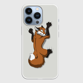Чехол для iPhone 13 Pro с принтом Лис Вцепился в Екатеринбурге,  |  | Тематика изображения на принте: cute | fox | foxes | ginger | tail | вцепился | забавная | капаркается | лис | лиса | лисица | лисицы | лисичка | лисички | лисы | милая | рыжая | рыжие | смешная | фыр | хвост | хвосты