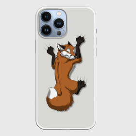 Чехол для iPhone 13 Pro Max с принтом Лис Вцепился в Екатеринбурге,  |  | Тематика изображения на принте: cute | fox | foxes | ginger | tail | вцепился | забавная | капаркается | лис | лиса | лисица | лисицы | лисичка | лисички | лисы | милая | рыжая | рыжие | смешная | фыр | хвост | хвосты