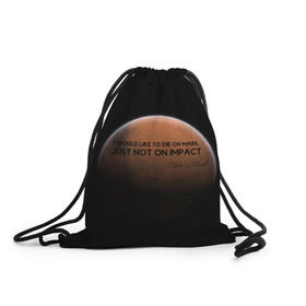 Рюкзак-мешок 3D с принтом Elon Reeve Musk в Екатеринбурге, 100% полиэстер | плотность ткани — 200 г/м2, размер — 35 х 45 см; лямки — толстые шнурки, застежка на шнуровке, без карманов и подкладки | 