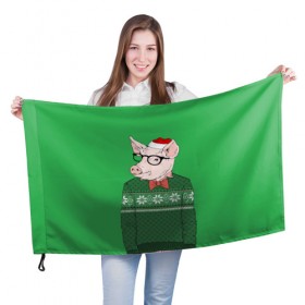 Флаг 3D с принтом New Year Hipster Pig в Екатеринбурге, 100% полиэстер | плотность ткани — 95 г/м2, размер — 67 х 109 см. Принт наносится с одной стороны | 2019 | merry christmas | new year | год свиньи | зима | новый год | поросенок | праздник | рождество | свинка | свинья