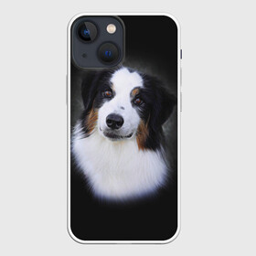 Чехол для iPhone 13 mini с принтом Собака в Екатеринбурге,  |  | голова | животные | мордочка | пес | природа | собака | щенок