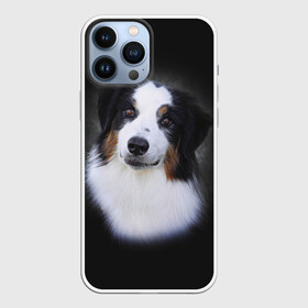 Чехол для iPhone 13 Pro Max с принтом Собака в Екатеринбурге,  |  | голова | животные | мордочка | пес | природа | собака | щенок