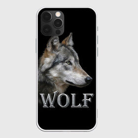 Чехол для iPhone 12 Pro Max с принтом Wolf в Екатеринбурге, Силикон |  | волк | животные | мордочка | пес | природа | собака | хищник