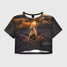 Женская футболка Cropp-top с принтом Солнечный зайчик в Екатеринбурге, 100% полиэстер | круглая горловина, длина футболки до линии талии, рукава с отворотами | заяц | кролик | лес | пейзаж | поле | природа | пушистый | солнце | уши