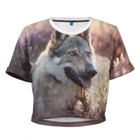 Женская футболка Cropp-top с принтом Волк в Екатеринбурге, 100% полиэстер | круглая горловина, длина футболки до линии талии, рукава с отворотами | dog | взгляд | волк | лайка | собака | хаски