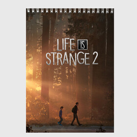 Скетчбук с принтом Life is Strange 2 в Екатеринбурге, 100% бумага
 | 48 листов, плотность листов — 100 г/м2, плотность картонной обложки — 250 г/м2. Листы скреплены сверху удобной пружинной спиралью | adventure | life | life is strange | road | video game | дороги | жизнь | закат | квест | лес | приключения