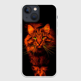 Чехол для iPhone 13 mini с принтом Рыжий кот в Екатеринбурге,  |  | cat | кот | котик | кошка | рыжая | рыжий