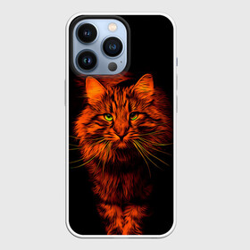 Чехол для iPhone 13 Pro с принтом Рыжий кот в Екатеринбурге,  |  | cat | кот | котик | кошка | рыжая | рыжий