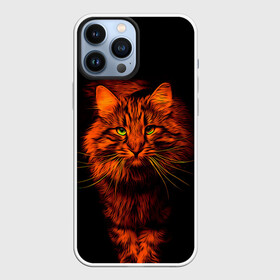 Чехол для iPhone 13 Pro Max с принтом Рыжий кот в Екатеринбурге,  |  | cat | кот | котик | кошка | рыжая | рыжий