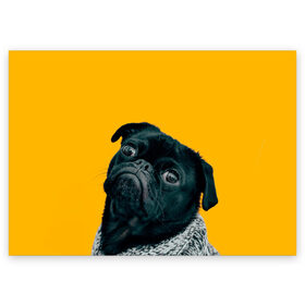 Поздравительная открытка с принтом Бульдожка в Екатеринбурге, 100% бумага | плотность бумаги 280 г/м2, матовая, на обратной стороне линовка и место для марки
 | Тематика изображения на принте: бульдог | паг | пес | собака | черный