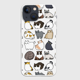 Чехол для iPhone 13 mini с принтом Котики в Екатеринбурге,  |  | cat | cats | cute | kitten | kitty | pussy | smile | кот | котенок | котик | котики | коты | котята | кошечка | кошечки | кошка | кошки | милая | милота | милый | полосатый | порода | смеется | улыбается | улыбака | улыбка