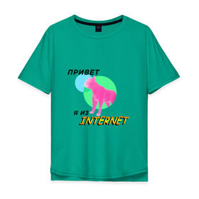 Мужская футболка хлопок Oversize с принтом Привет я из internet в Екатеринбурге, 100% хлопок | свободный крой, круглый ворот, “спинка” длиннее передней части | internet | интернет | кот | мем | мемы про котов | надпись | прикол