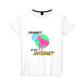 Женская футболка хлопок с принтом Привет я из internet в Екатеринбурге, 100% хлопок | прямой крой, круглый вырез горловины, длина до линии бедер, слегка спущенное плечо | internet | интернет | кот | мем | мемы про котов | надпись | прикол
