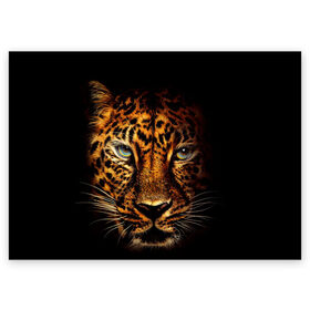 Поздравительная открытка с принтом Ягуар в Екатеринбурге, 100% бумага | плотность бумаги 280 г/м2, матовая, на обратной стороне линовка и место для марки
 | Тематика изображения на принте: гепард | кошка | леопард | охотник | тигр | хищник | ягуар