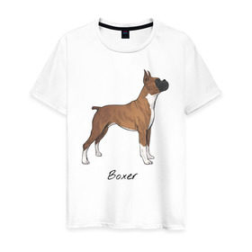 Мужская футболка хлопок с принтом Немецкий Боксер в Екатеринбурге, 100% хлопок | прямой крой, круглый вырез горловины, длина до линии бедер, слегка спущенное плечо. | boxer | dog | боксёр | собака | собака боксер | собаки