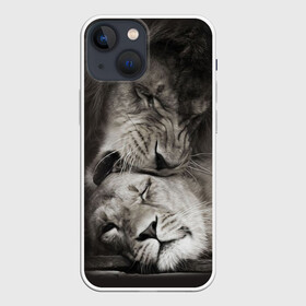 Чехол для iPhone 13 mini с принтом Лев и львица в Екатеринбурге,  |  | животные | кот | кошка | лев | львица | оскал | природа | рык | рычит | хищник