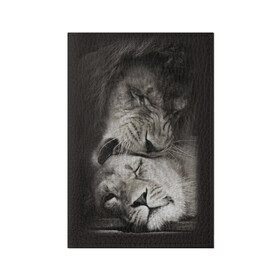 Обложка для паспорта матовая кожа с принтом Лев и львица в Екатеринбурге, натуральная матовая кожа | размер 19,3 х 13,7 см; прозрачные пластиковые крепления | животные | кот | кошка | лев | львица | оскал | природа | рык | рычит | хищник