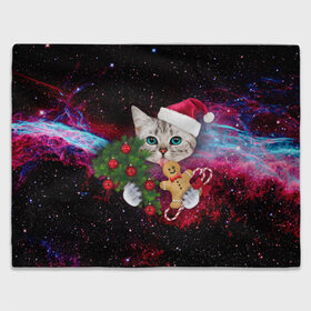 Плед 3D с принтом astro cat в Екатеринбурге, 100% полиэстер | закругленные углы, все края обработаны. Ткань не мнется и не растягивается | art | cat | new year | pizza | space | абстракция | еда | ёлка | звезды | киса | космос | кот | кот в космосе | кот с едой | котенок | котик | кошка | новый год | пицца | праздник | рождество | шапка