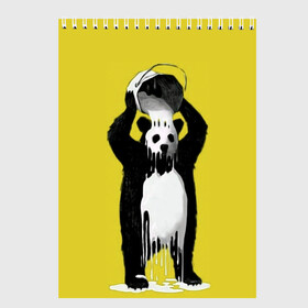 Скетчбук с принтом панда в Екатеринбурге, 100% бумага
 | 48 листов, плотность листов — 100 г/м2, плотность картонной обложки — 250 г/м2. Листы скреплены сверху удобной пружинной спиралью | арт | краска | медведь | панда