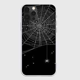 Чехол для iPhone 12 Pro Max с принтом Паутина в Екатеринбурге, Силикон |  | вода | день мертвых | дизайнерская | искусство | капли | картинка | круто | лучший | мексика | мода | молодёжная | мрак | насекомое | ночь | паук | паутина | подарок | поздравление | праздник | рисунок