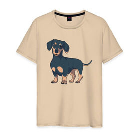 Мужская футболка хлопок с принтом Такса в Екатеринбурге, 100% хлопок | прямой крой, круглый вырез горловины, длина до линии бедер, слегка спущенное плечо. | dachshund | собака | собаки | такса | таксы
