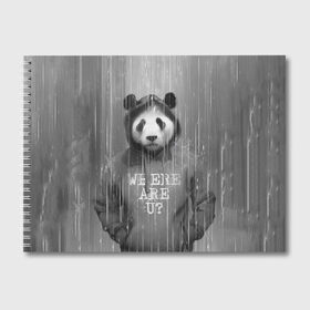 Альбом для рисования с принтом Панда в Екатеринбурге, 100% бумага
 | матовая бумага, плотность 200 мг. | Тематика изображения на принте: дождь | животные | капюшон | кофта | медведь | мишка | панда | природа | хипстер