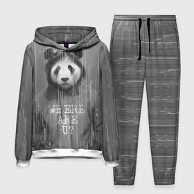 Мужской костюм 3D (с толстовкой) с принтом Панда в Екатеринбурге,  |  | Тематика изображения на принте: дождь | животные | капюшон | кофта | медведь | мишка | панда | природа | хипстер